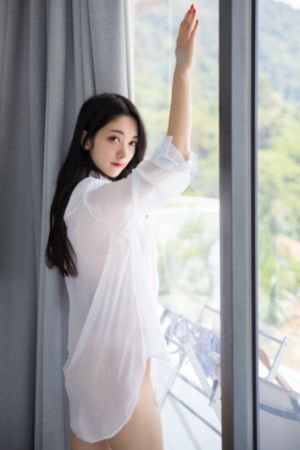 向日葵在夜晚绽放免费观看